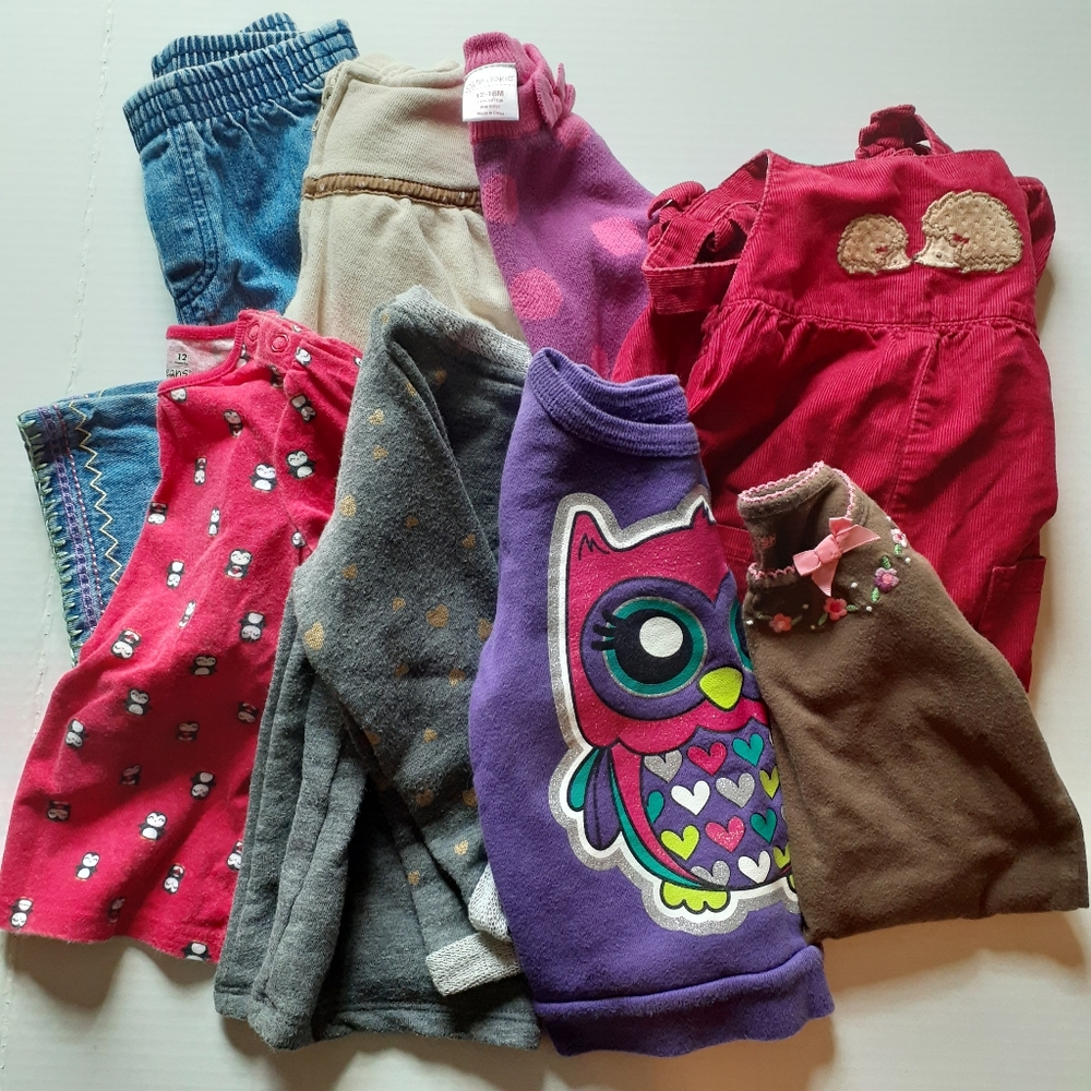 Girls Size 12-18 Month Fall/Winter Bundle